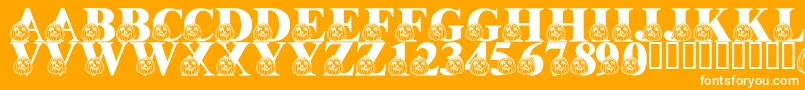 LmsPumpkinPal Font – White Fonts on Orange Background