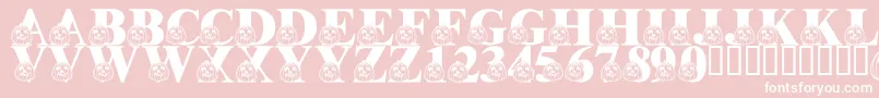 LmsPumpkinPal Font – White Fonts on Pink Background