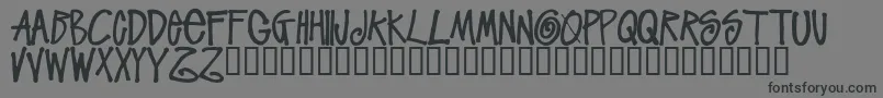 StussyscriptRegular Font – Black Fonts on Gray Background