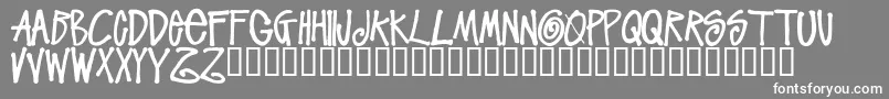 StussyscriptRegular Font – White Fonts on Gray Background