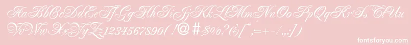 フォントPoemrenaissanceRegularDb – ピンクの背景に白い文字