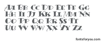 Review of the BermudaSolid Font