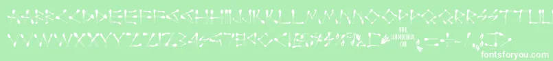 Perfectmatch Font – White Fonts on Green Background