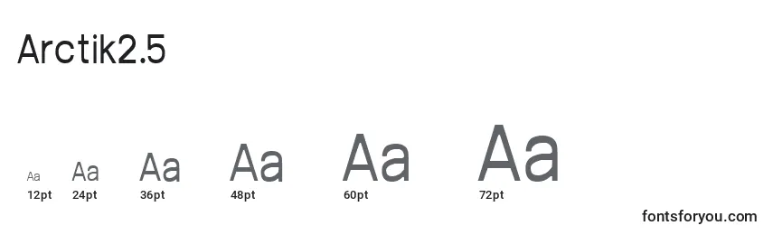 Размеры шрифта Arctik2.5