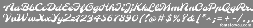 MolleRegular Font – White Fonts on Gray Background