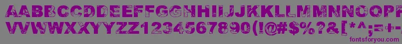 AdieresisOdieresisAring2 Font – Purple Fonts on Gray Background