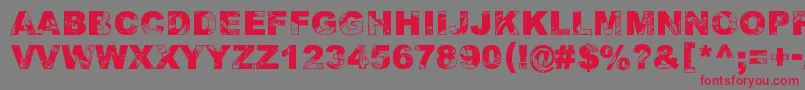 AdieresisOdieresisAring2 Font – Red Fonts on Gray Background
