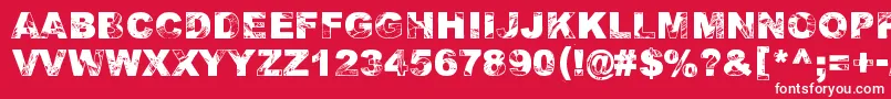 AdieresisOdieresisAring2 Font – White Fonts on Red Background
