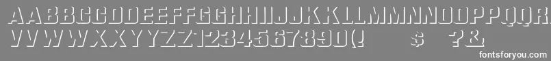 WhataReliefWd Font – White Fonts on Gray Background