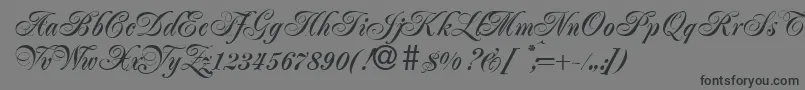 JacobaBold Font – Black Fonts on Gray Background