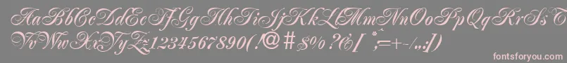 JacobaBold Font – Pink Fonts on Gray Background