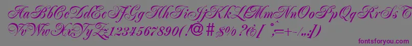 JacobaBold Font – Purple Fonts on Gray Background