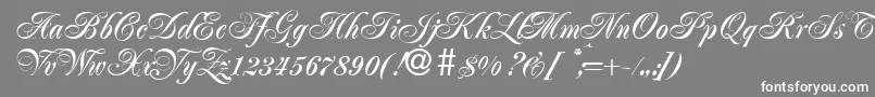 JacobaBold Font – White Fonts on Gray Background