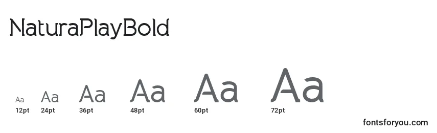 NaturaPlayBold Font Sizes