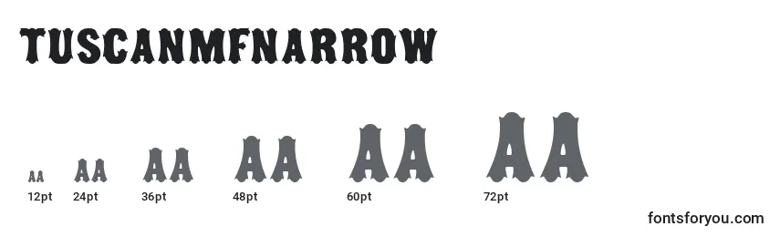 Размеры шрифта TuscanMfNarrow