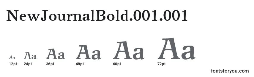 NewJournalBold.001.001 Font Sizes