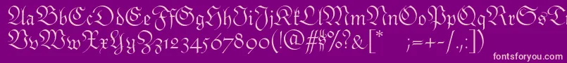 Monarchiaswash Font – Pink Fonts on Purple Background