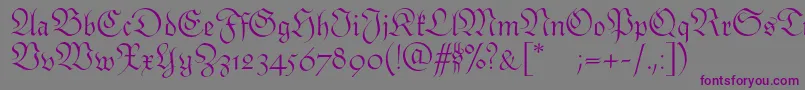 Monarchiaswash Font – Purple Fonts on Gray Background