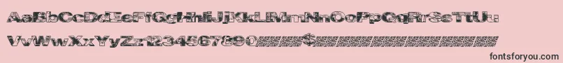 Cityvetica Font – Black Fonts on Pink Background