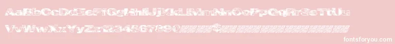 Cityvetica Font – White Fonts on Pink Background