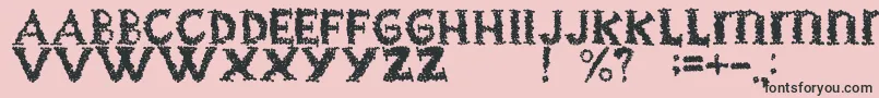 BlackgrapesRegular Font – Black Fonts on Pink Background