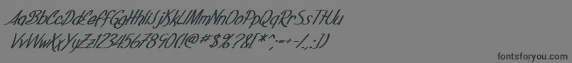 フォントSfFoxboroScriptBoldItalic – 黒い文字の灰色の背景