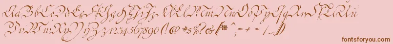 CoentgenKanzley-Schriftart – Braune Schriften auf rosa Hintergrund