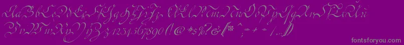 CoentgenKanzley-Schriftart – Graue Schriften auf violettem Hintergrund