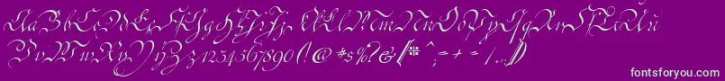 CoentgenKanzley Font – Green Fonts on Purple Background