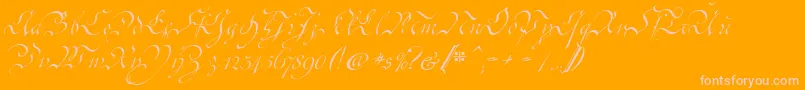 CoentgenKanzley Font – Pink Fonts on Orange Background