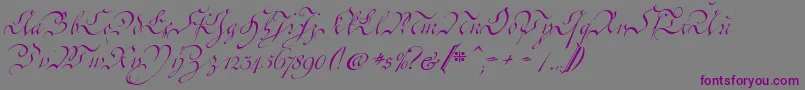 CoentgenKanzley-Schriftart – Violette Schriften auf grauem Hintergrund