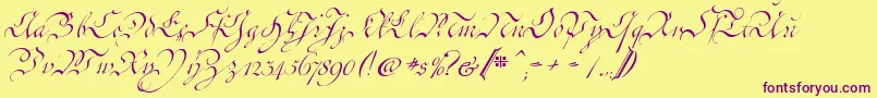 CoentgenKanzley Font – Purple Fonts on Yellow Background