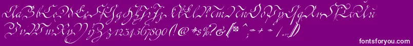 CoentgenKanzley Font – White Fonts on Purple Background