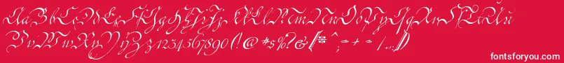 CoentgenKanzley Font – White Fonts on Red Background