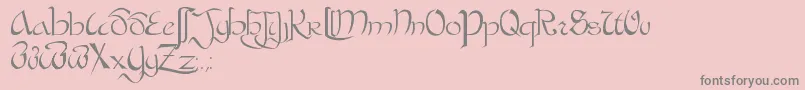 BastardaPlain. Font – Gray Fonts on Pink Background