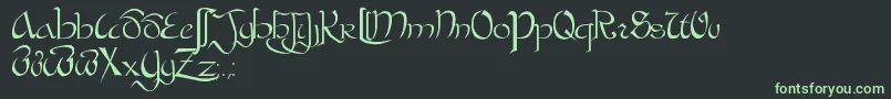 BastardaPlain. Font – Green Fonts on Black Background