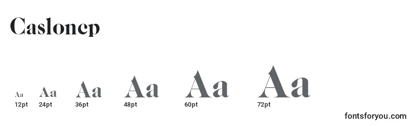 Casloncp Font Sizes