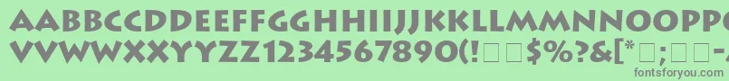 フォントAustereBlackSsiBlack – 緑の背景に灰色の文字