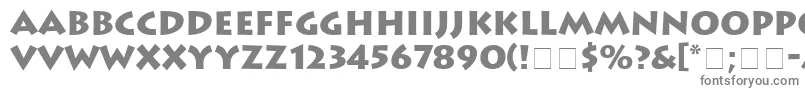 AustereBlackSsiBlack-fontti – harmaat kirjasimet valkoisella taustalla