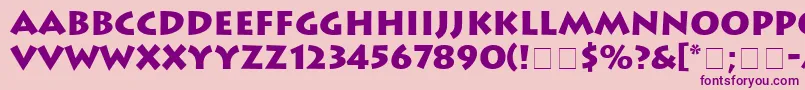 AustereBlackSsiBlack Font – Purple Fonts on Pink Background