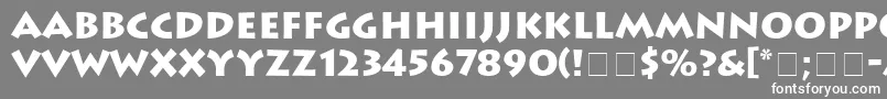 フォントAustereBlackSsiBlack – 灰色の背景に白い文字