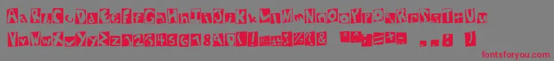NewYorkStatement-Schriftart – Rote Schriften auf grauem Hintergrund