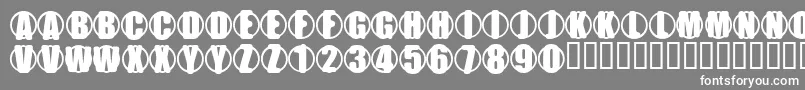 YchromePrime Font – White Fonts on Gray Background