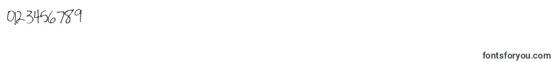 ShaileneMarks Font – Fonts for Numbers and Digits
