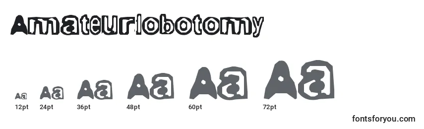 Размеры шрифта Amateurlobotomy