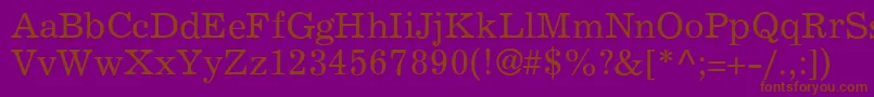 ExemplaryRegular Font – Brown Fonts on Purple Background