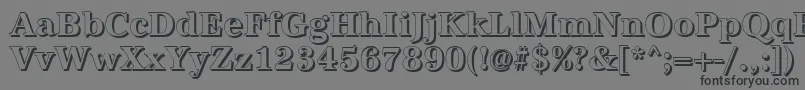 AntiquashBold Font – Black Fonts on Gray Background