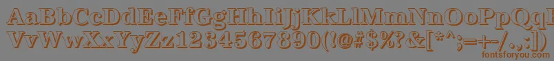 AntiquashBold Font – Brown Fonts on Gray Background