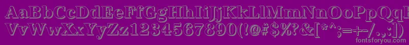 AntiquashBold Font – Gray Fonts on Purple Background