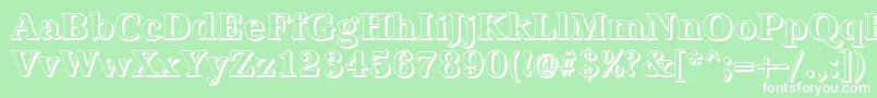 AntiquashBold Font – White Fonts on Green Background